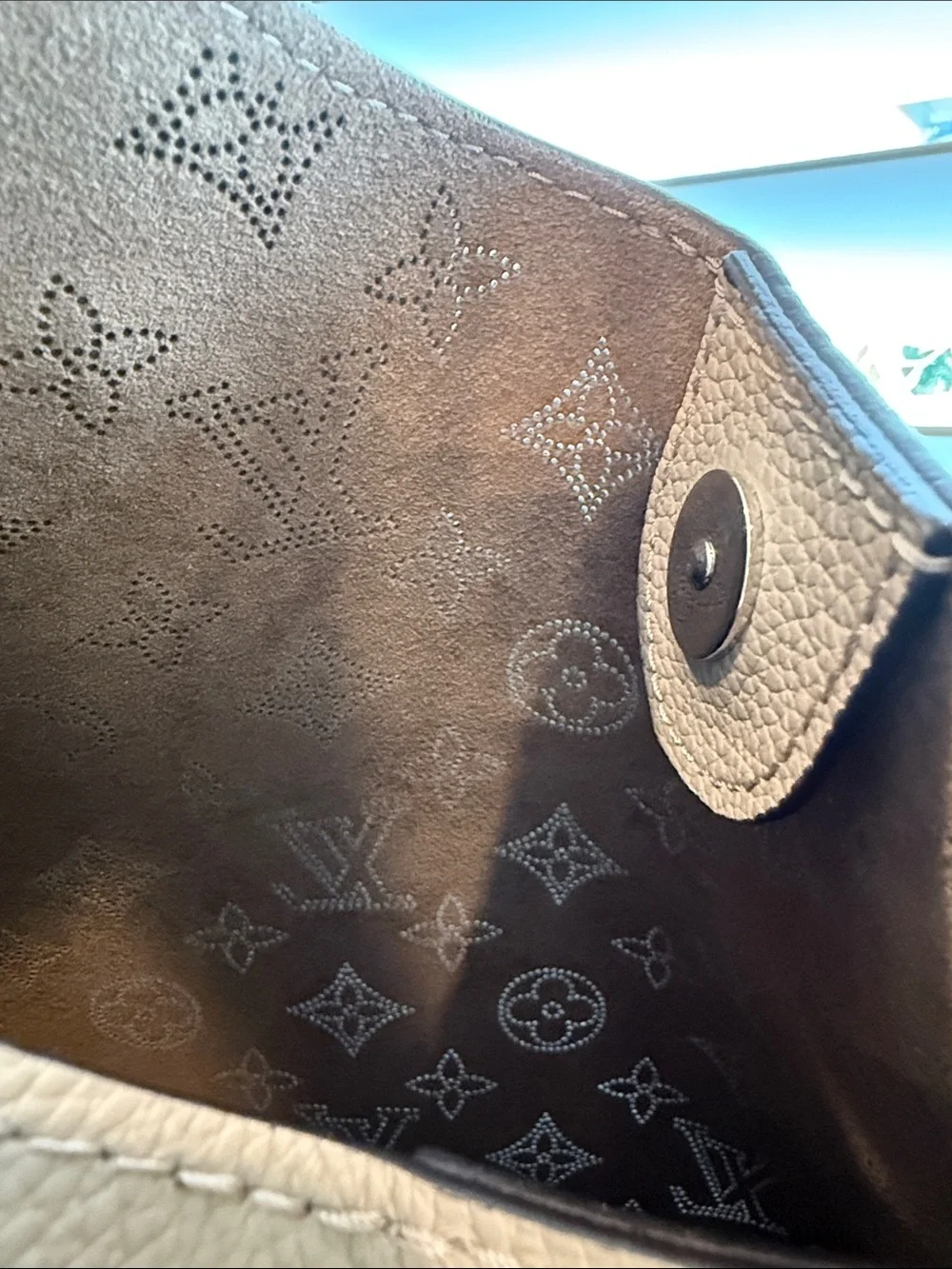 Louis Vuitton Taupe Monogram Braided-Handle Shoulder Bag